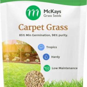 Carpet Grass Seed