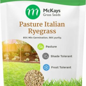 Pasture Italian Ryegrass Seed