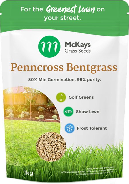 bentgrass penncross seed