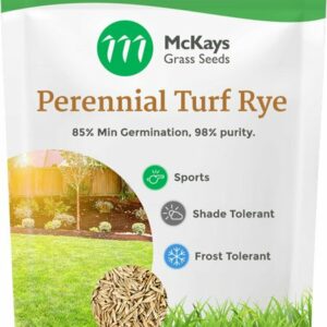 Sports Turf Perennial Ryegrass Seed