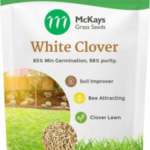 white clover