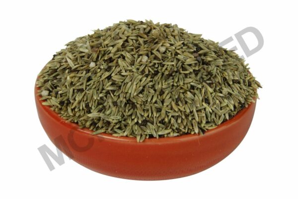 Kikuyu Grass Seed Blend