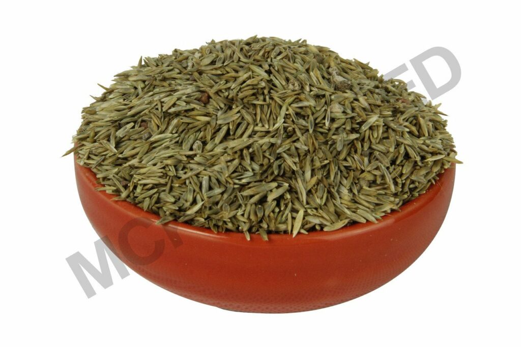 Annual Ryegrass Seed - McKays Grass Seeds
